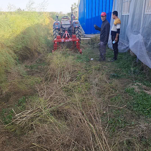 蘆筍割殃機 割蘆筍殃機廠家批發